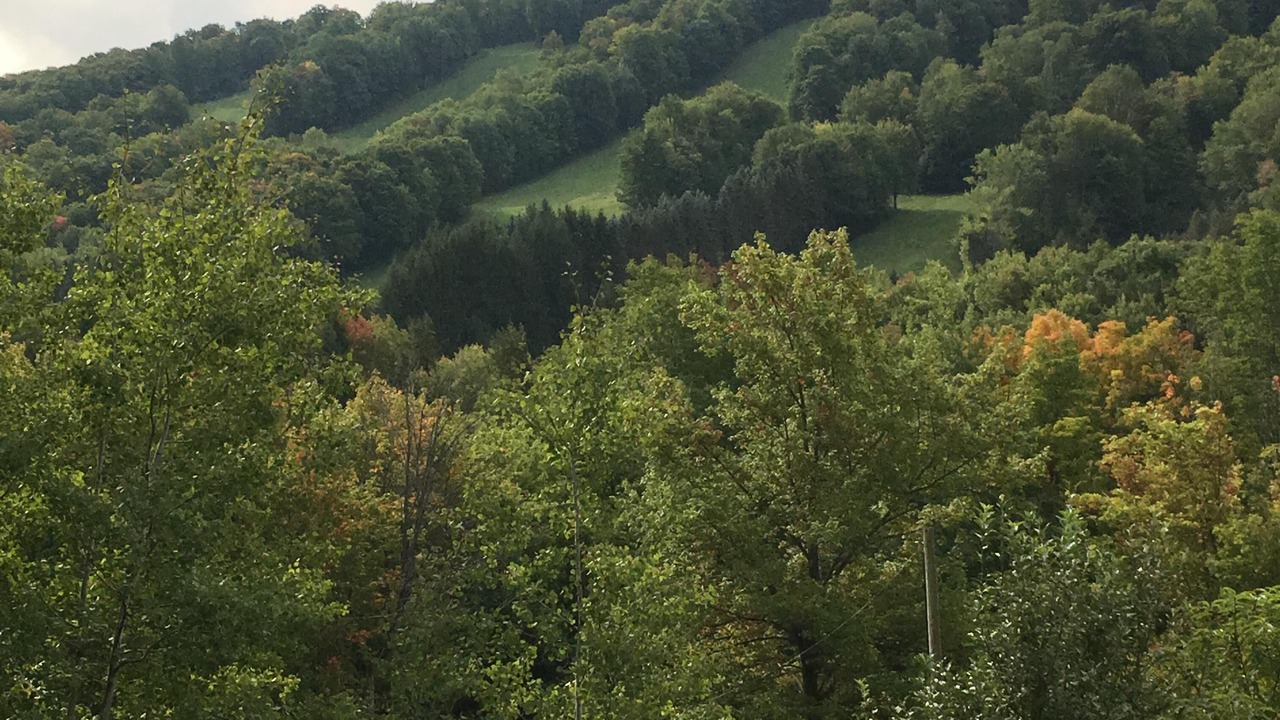 Photo of Outdoor in Ellicottville