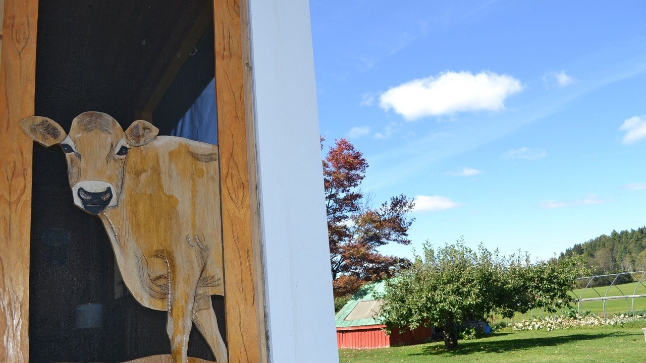 Photo of Outdoor in Colebrook