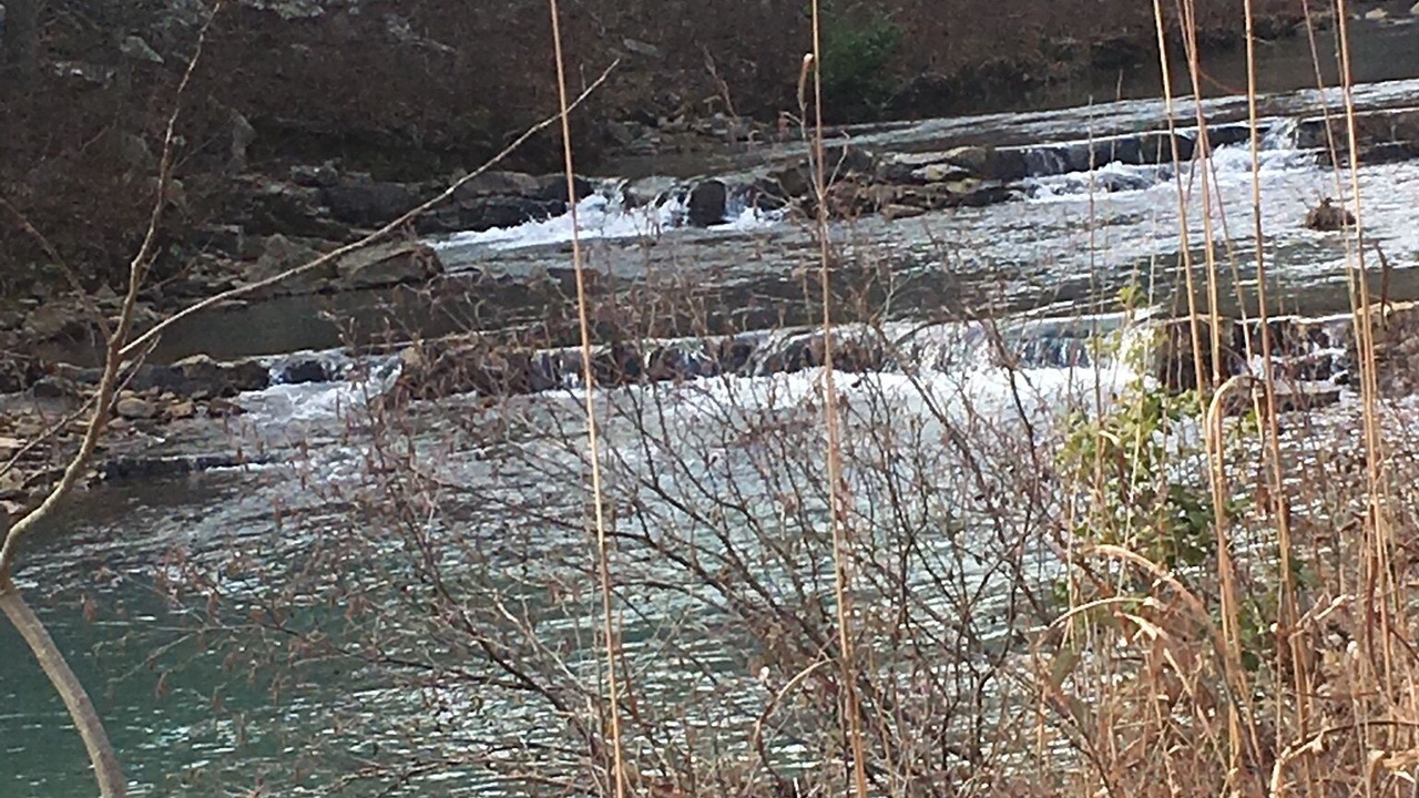 Photo of Others in Smithville