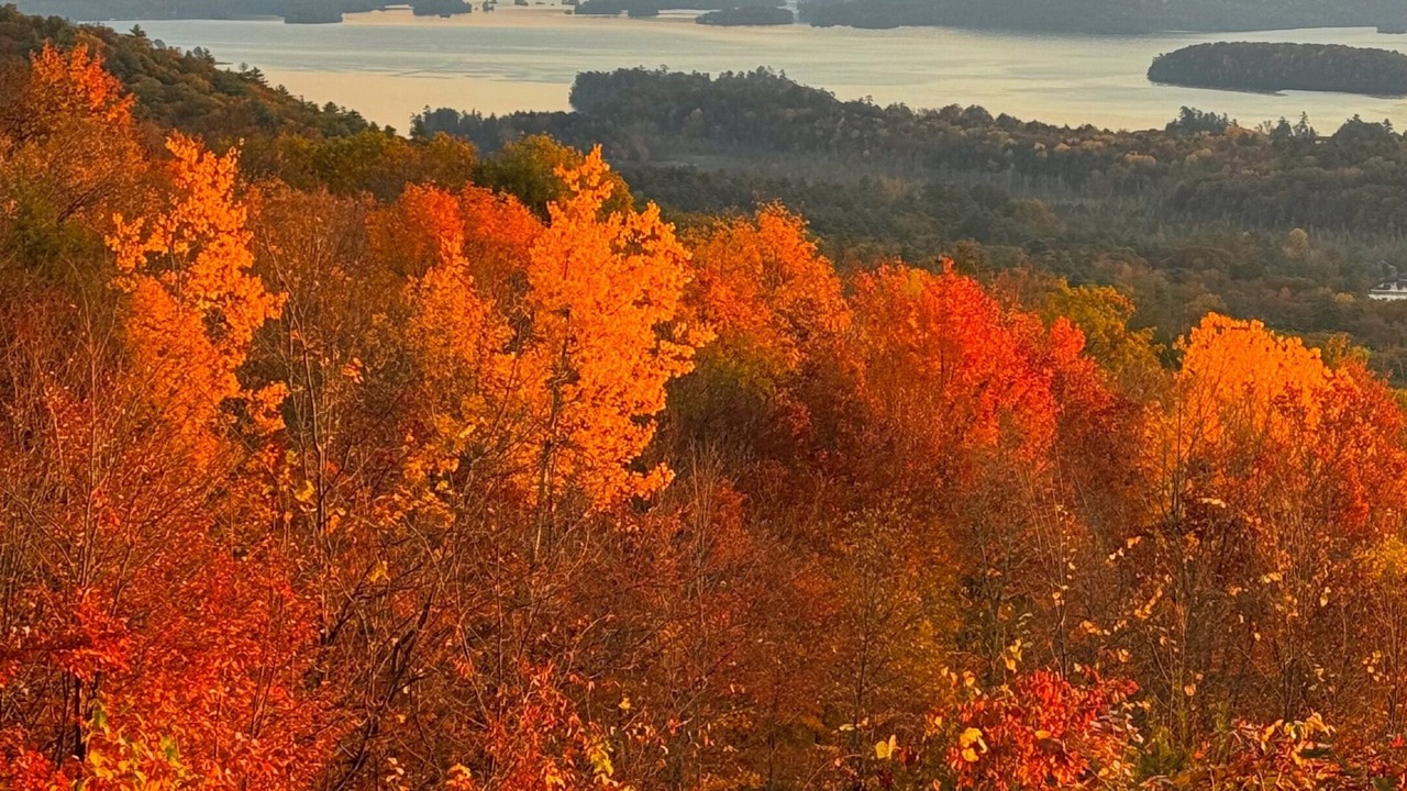 Photo of Outdoor in Diamond Point