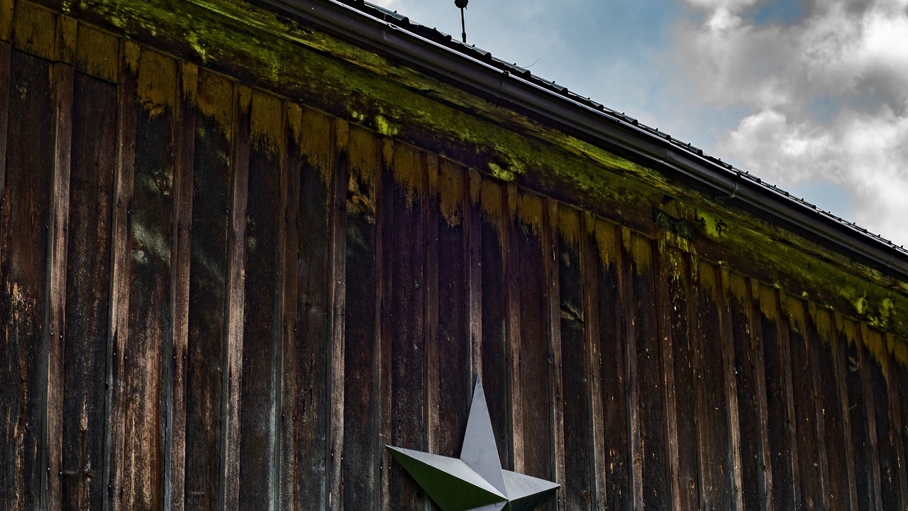 Photo of Outdoor in Trumansburg