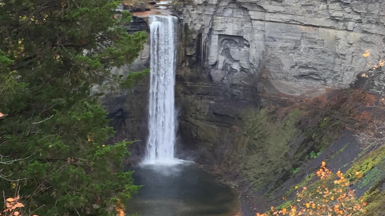 Photo of Others in Trumansburg