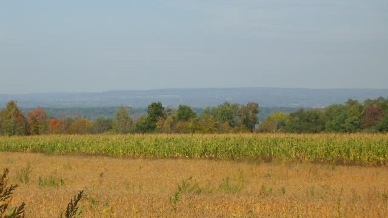 Photo of Outdoor in Penn Yan