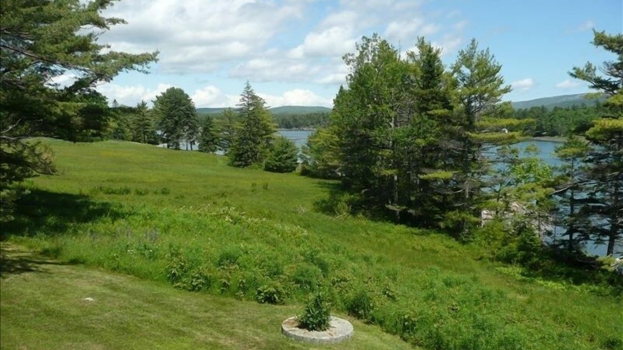 Photo of Others in Mount Desert