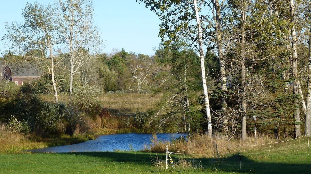 Photo of Outdoor in Brooksville