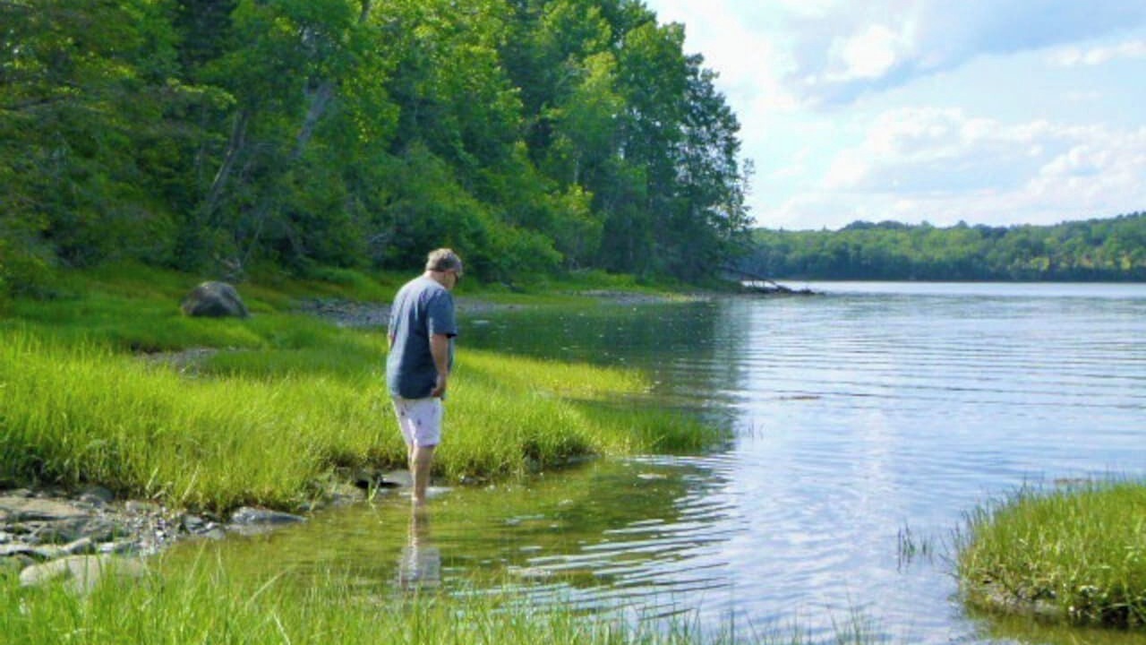 Photo of Others in Brooksville