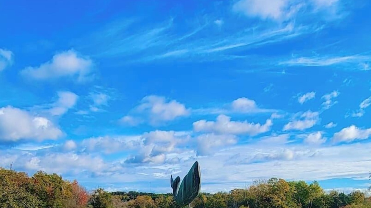Photo of Outdoor in Brooksville