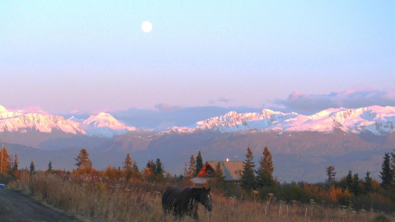 Photo of Others in Fritz Creek