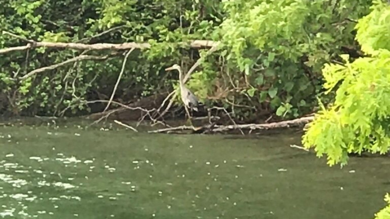 Photo of Others in Hammondsport