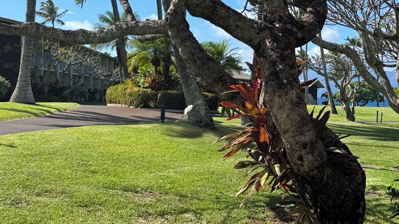 Photo of Outdoor in Napili
