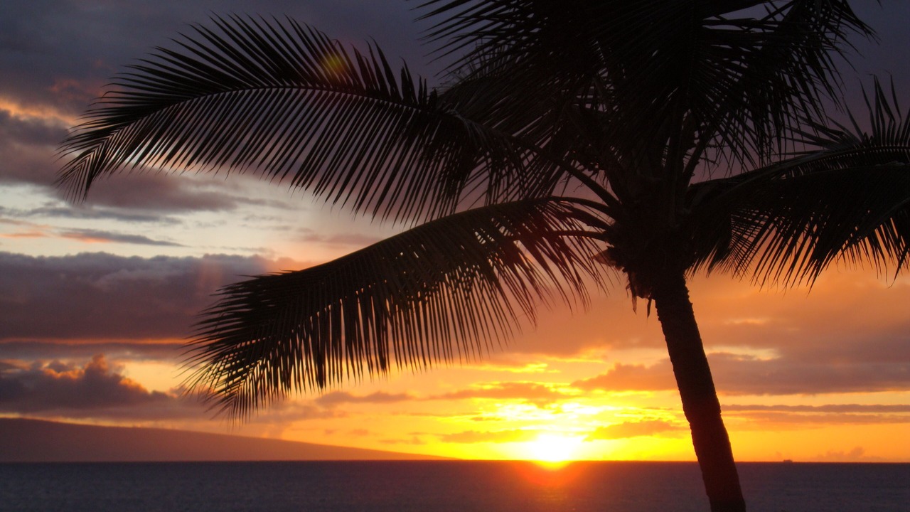Photo of Others in Kahana