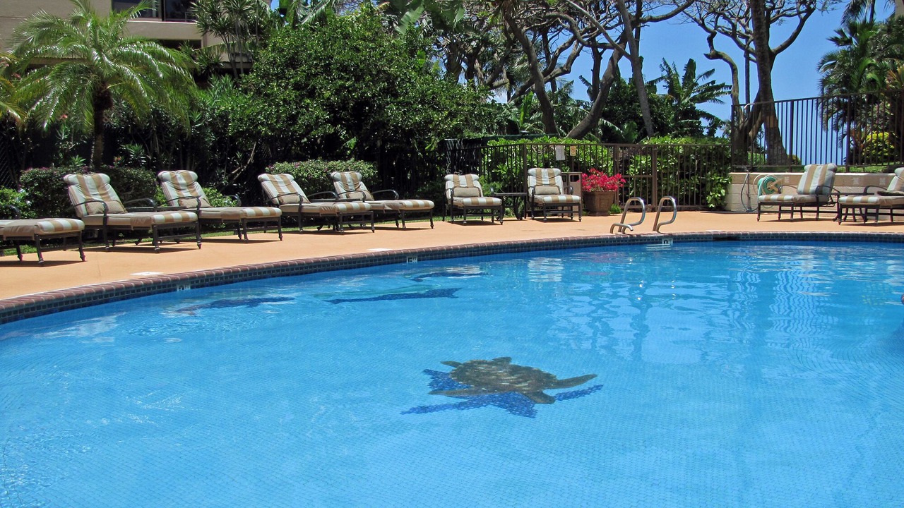 Photo of Outdoor in Kahana