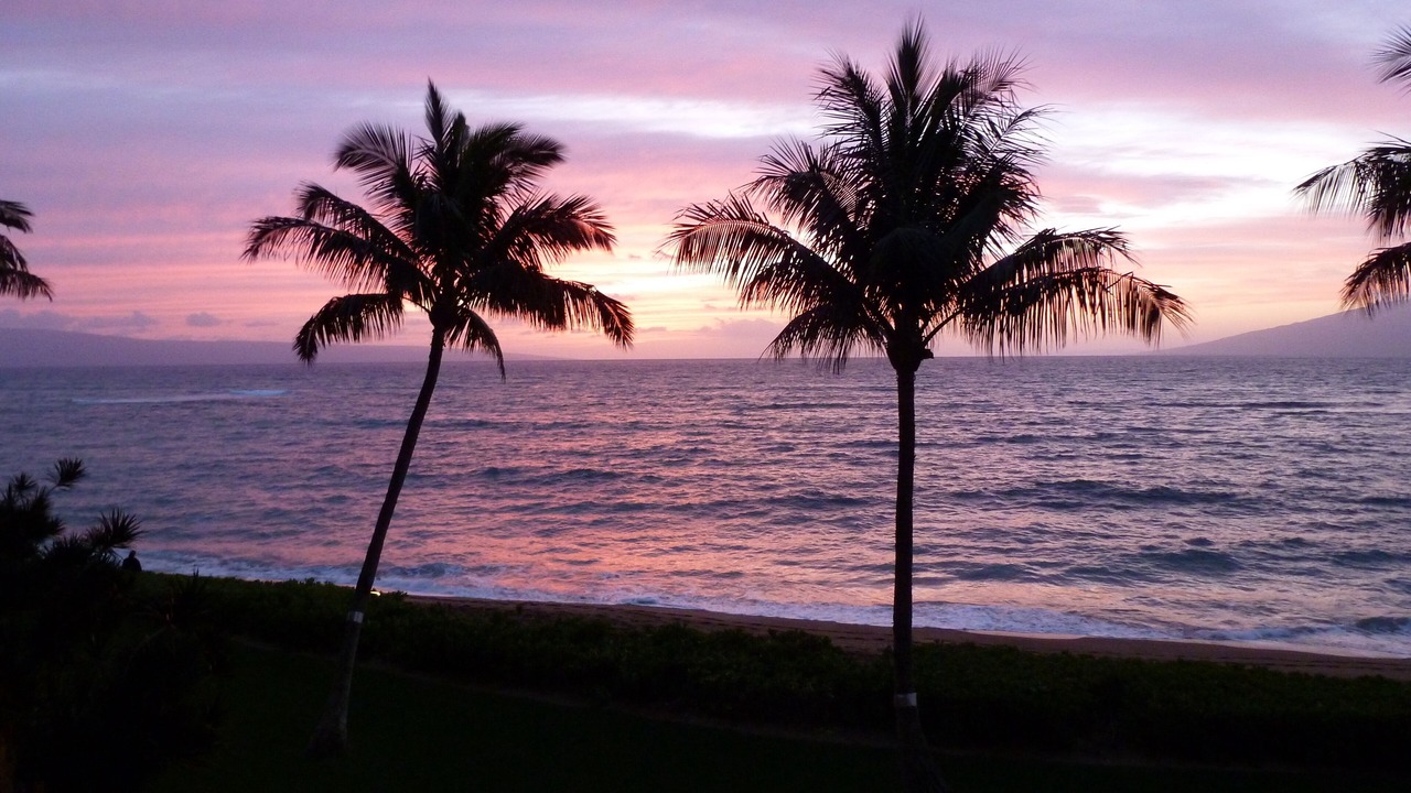 Photo of Others in Kahana