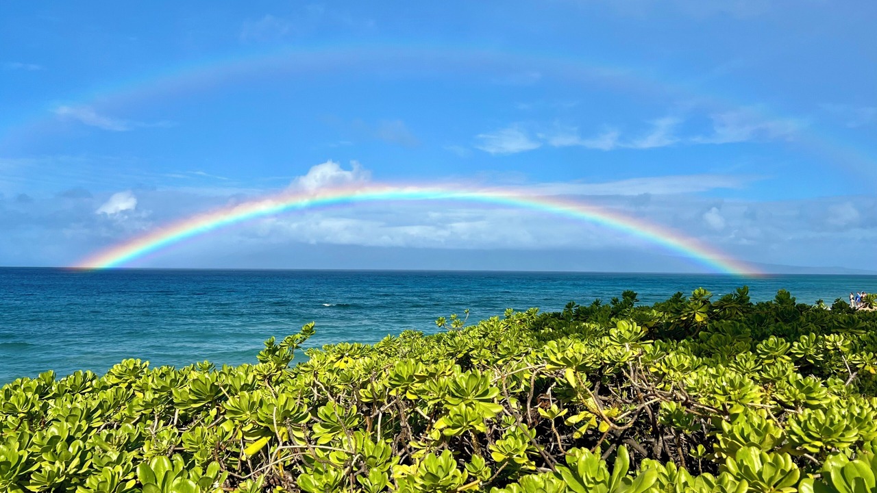 Photo of Others in Kaanapali