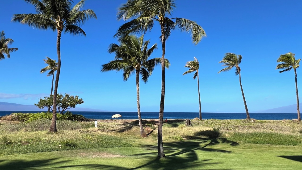 Photo of Others in Kaanapali
