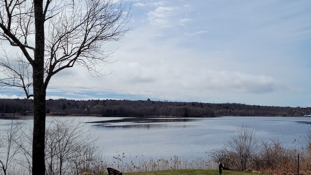 Photo of Outdoor in Stockton Springs