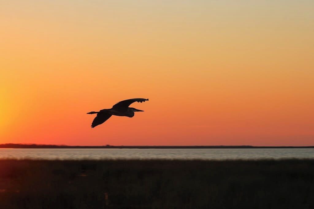 Photo of Others in Rockport