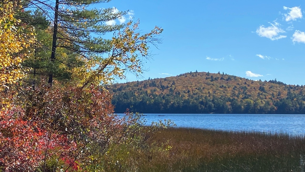 Photo of Others in Bridgton