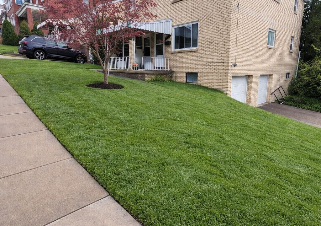 Photo of Outdoor in South Hills