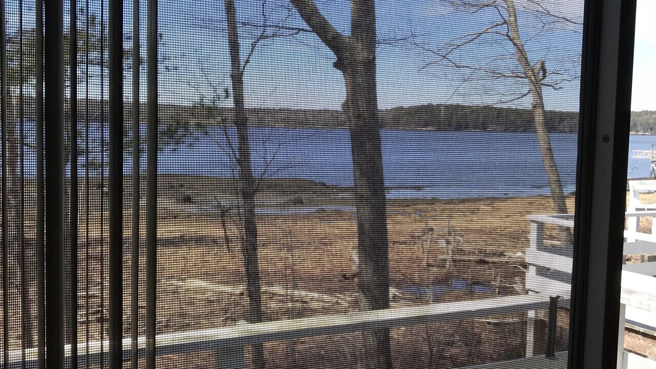 Photo of Others in Boothbay