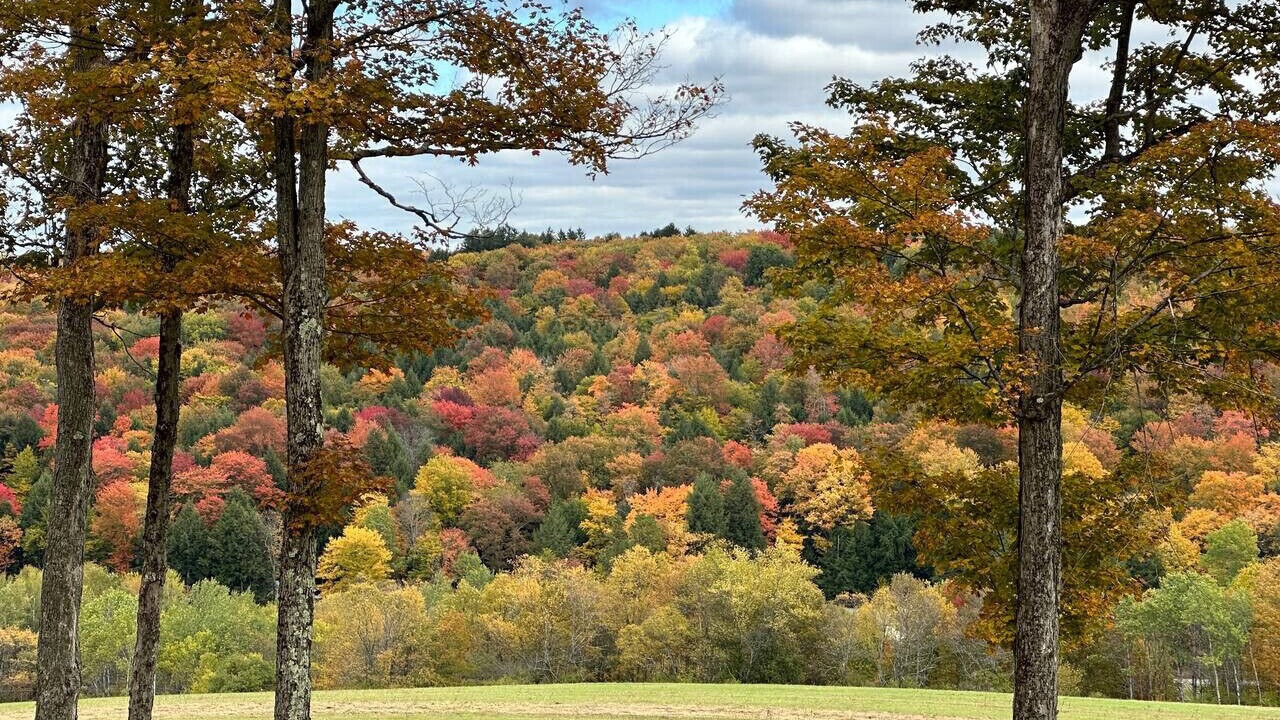 Photo of Others in Galeton