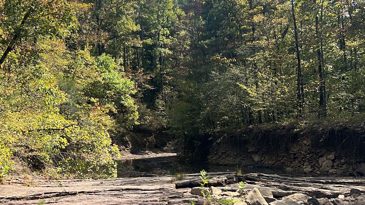 Photo of Others in Pettigrew