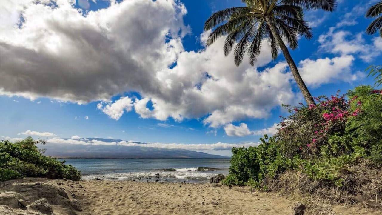 Photo of Others in Maalaea