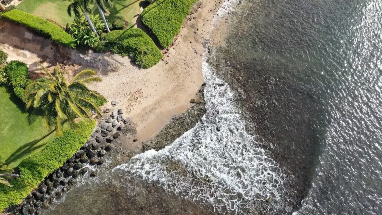 Photo of Others in Maalaea