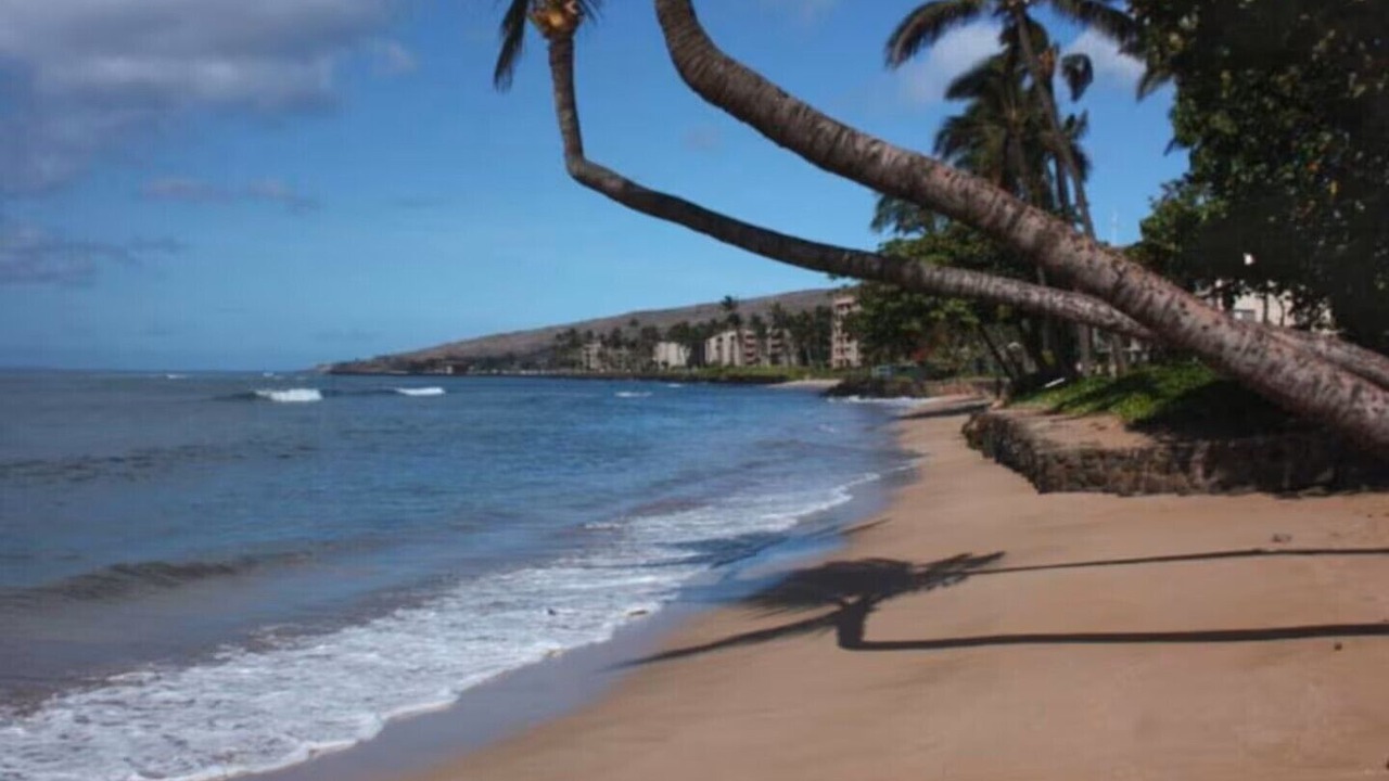 Photo of Others in Maalaea