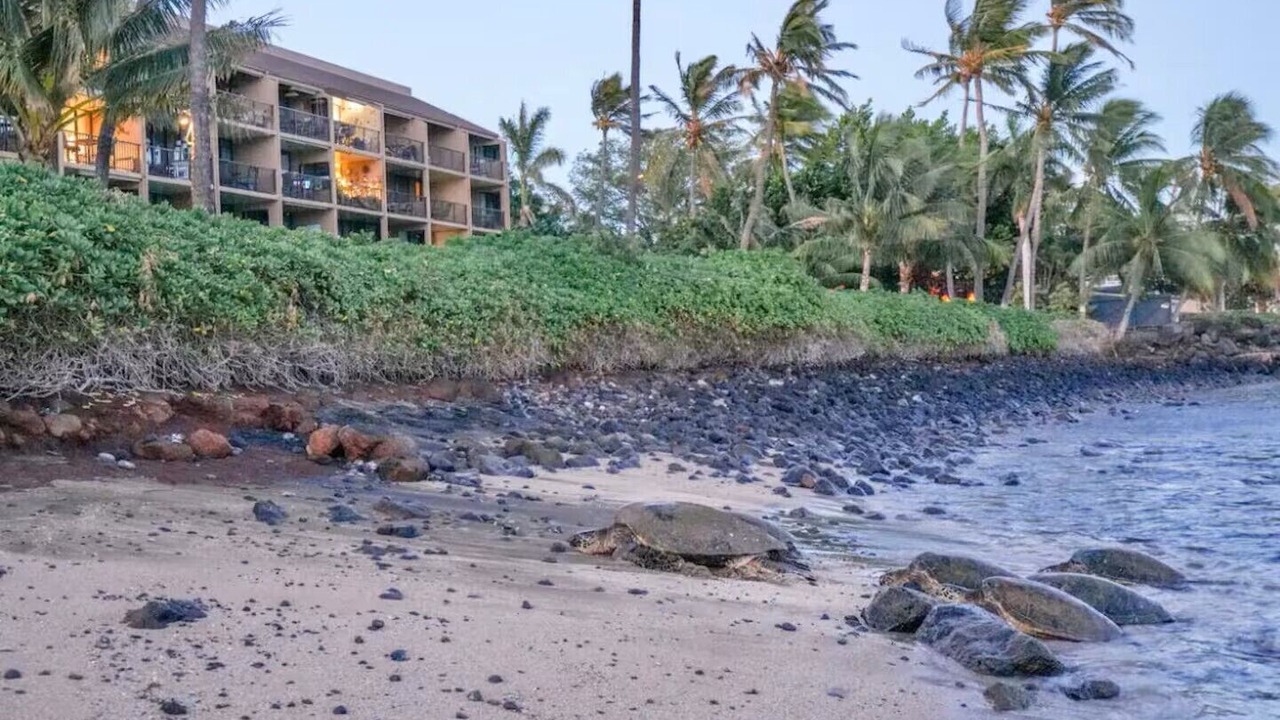 Photo of Others in Maalaea
