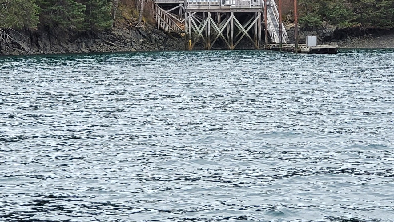Photo of Others in Homer