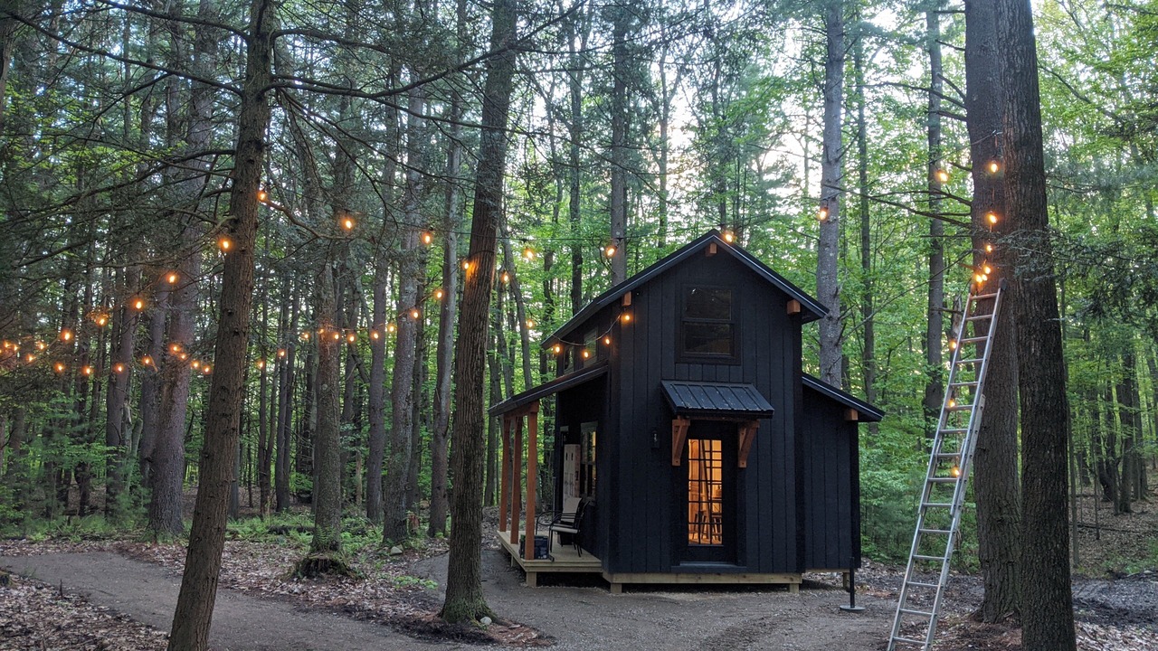 Photo of Outdoor in Dansville