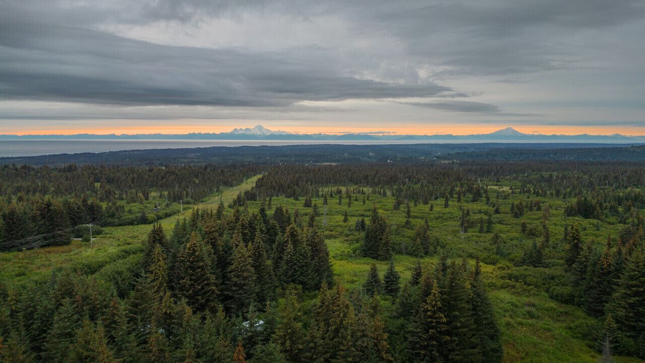 Photo of Others in Diamond Ridge