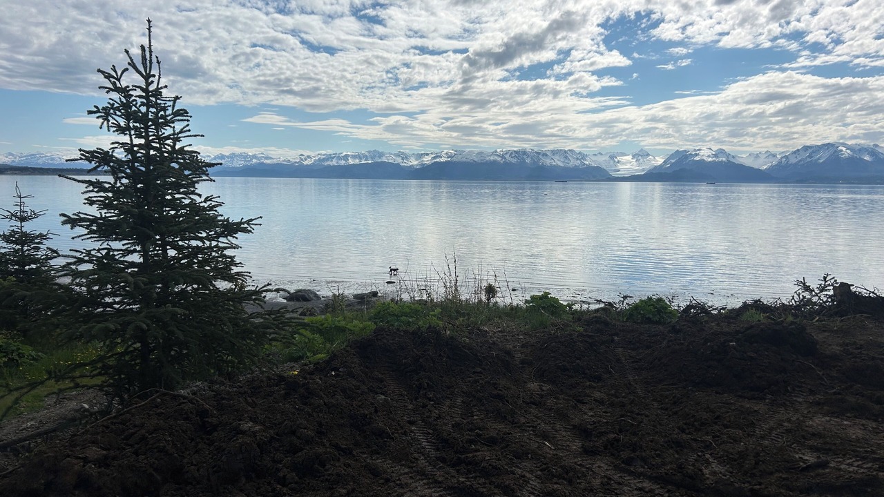 Photo of Others in Homer