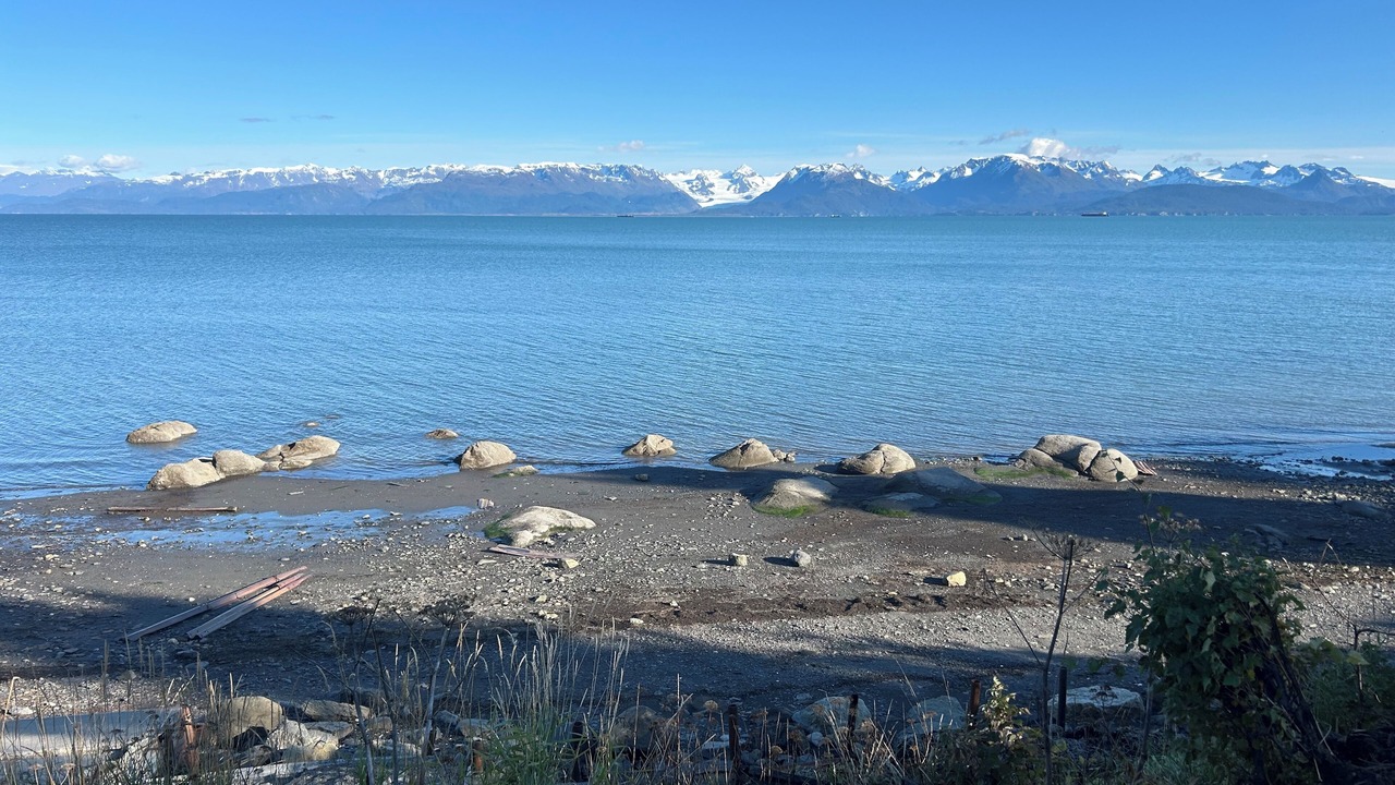 Photo of Others in Homer