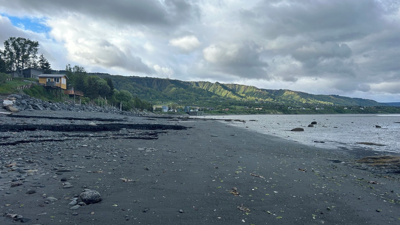 Photo of Others in Homer