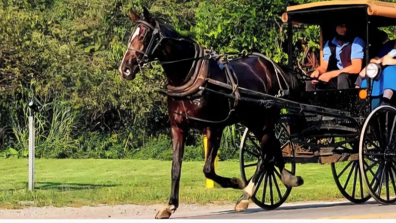 Photo of Others in New Wilmington