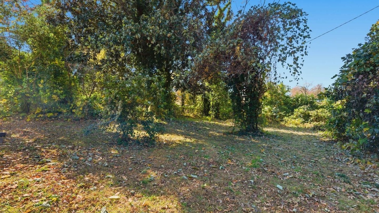 Photo of Outdoor in Spartanburg