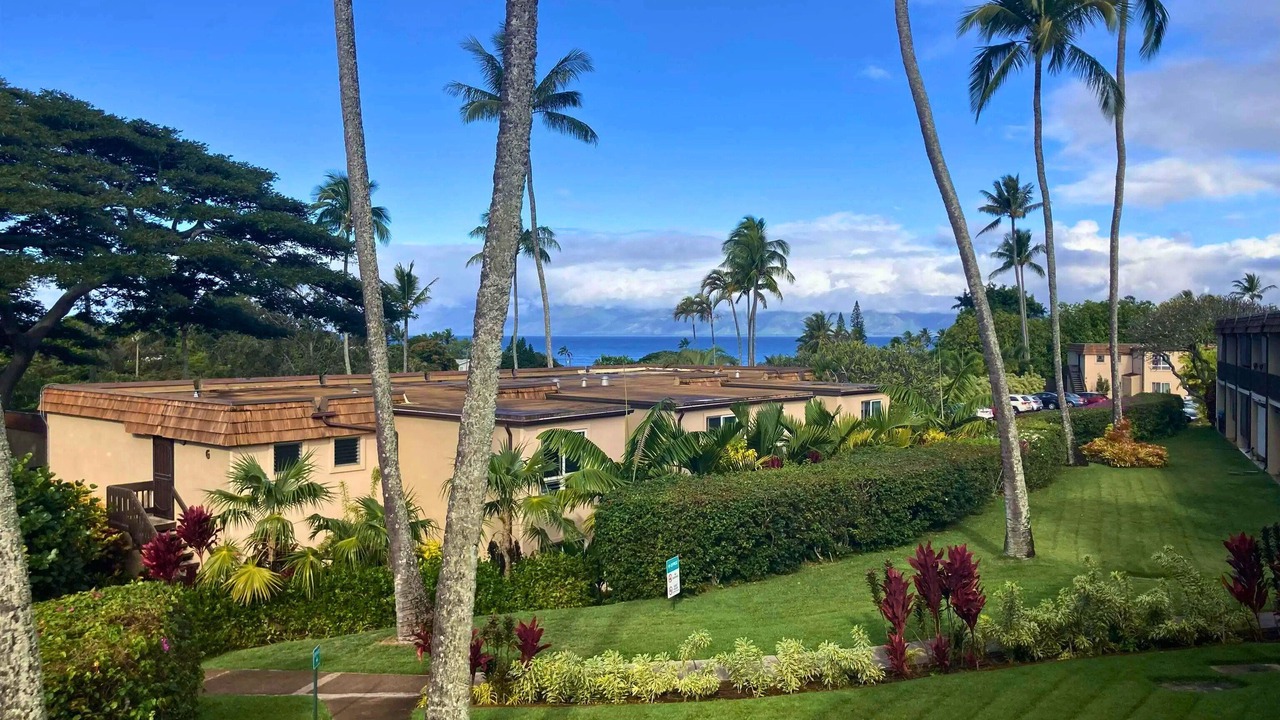 Photo of Outdoor in Napili