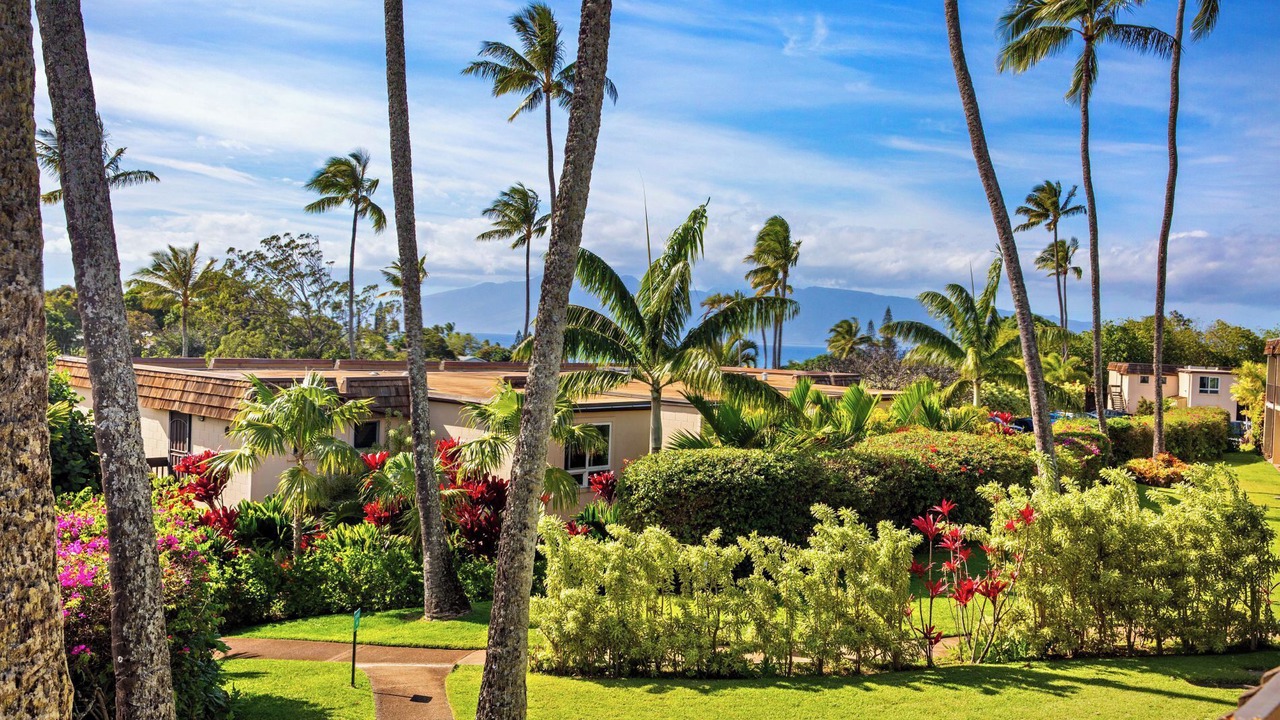 Photo of Others in Napili