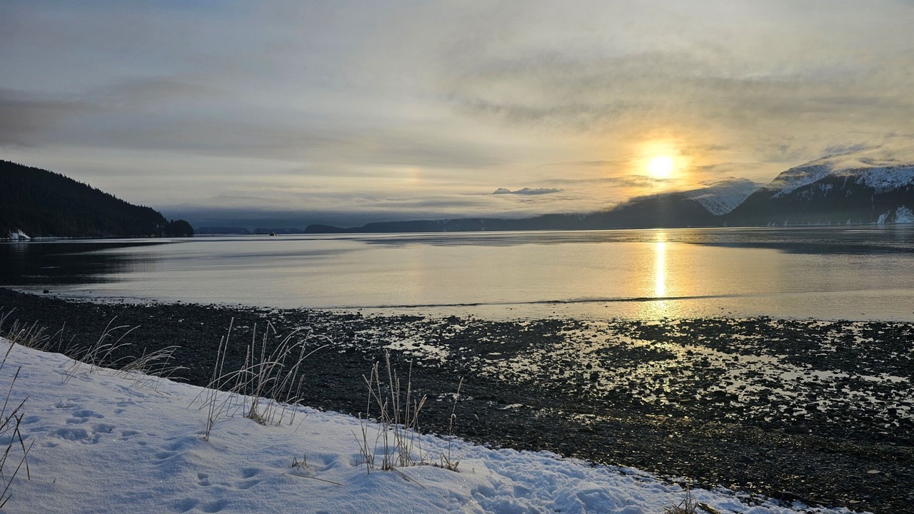 Photo of Others in Seward