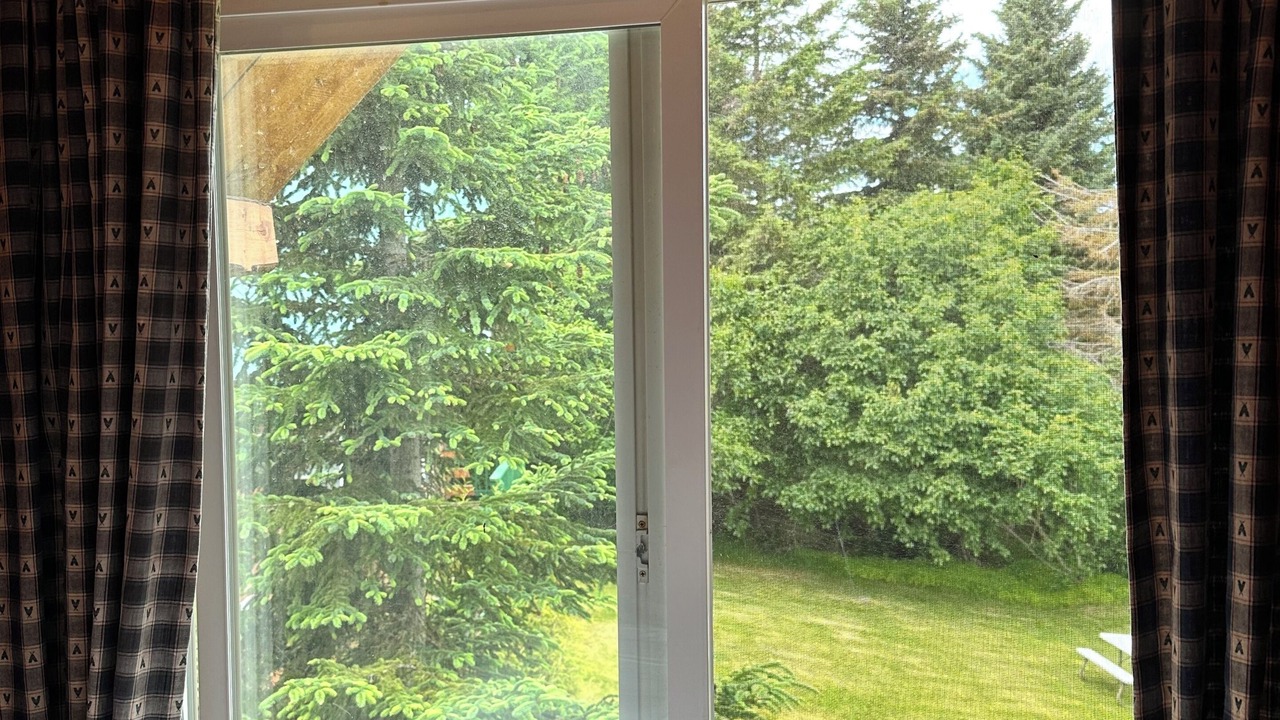 Photo of Bedroom in Homer