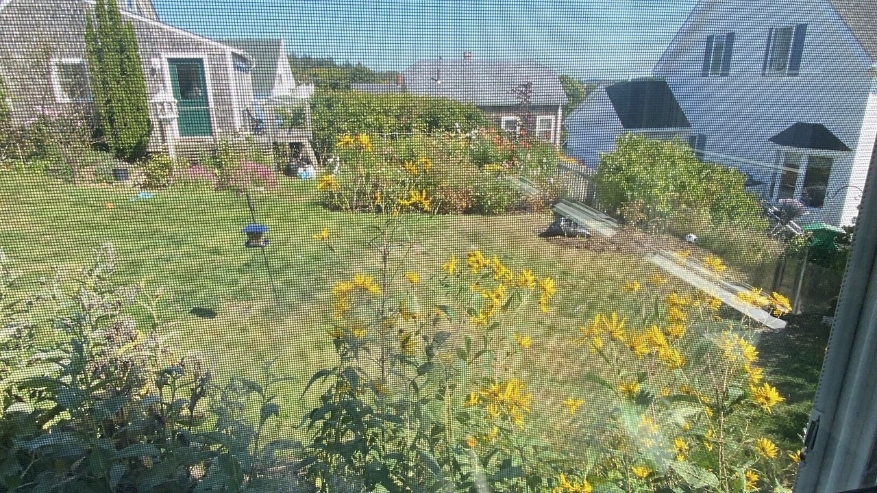 Photo of Others in Stonington