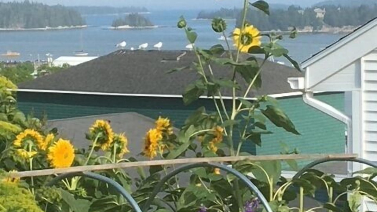 Photo of Outdoor in Stonington