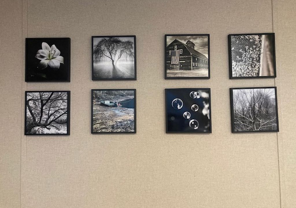 Photo of Others in Parks