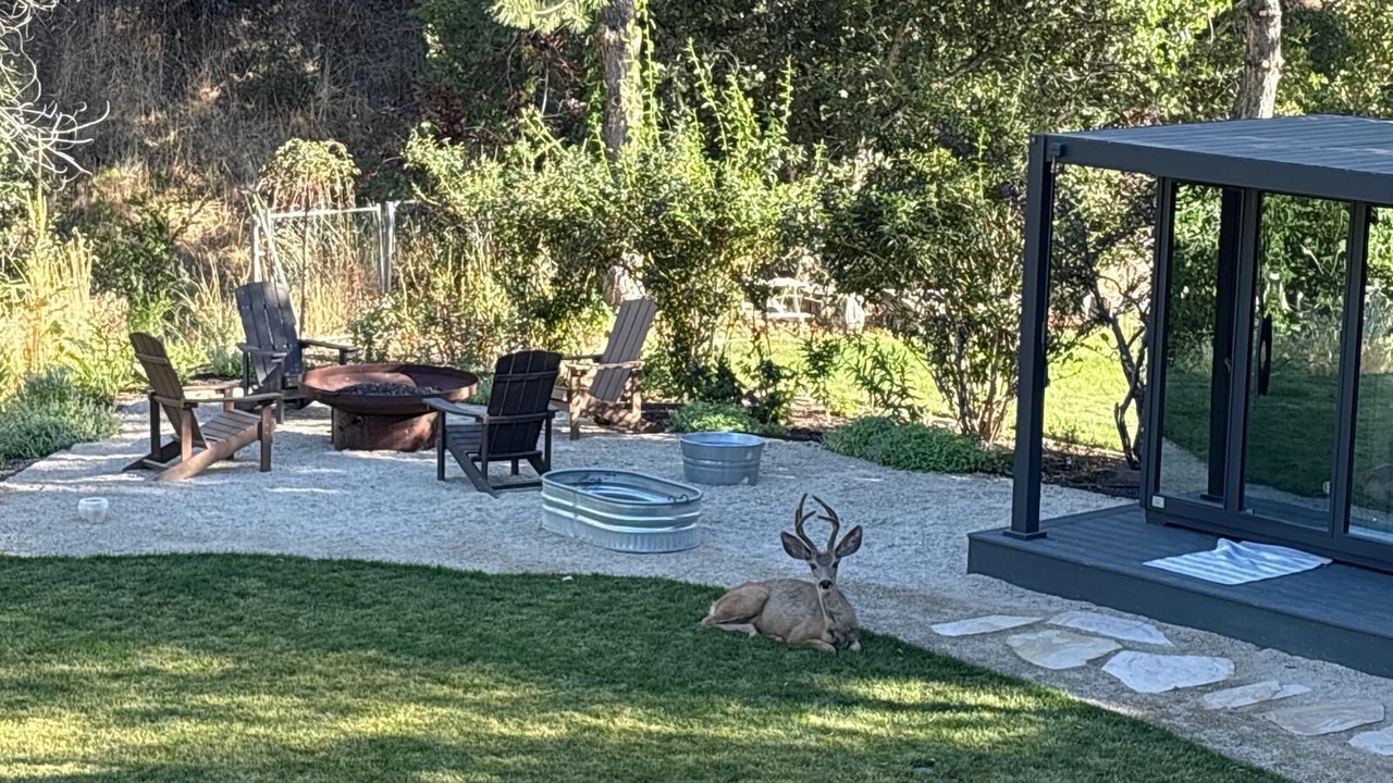 Photo of Others in Sandy