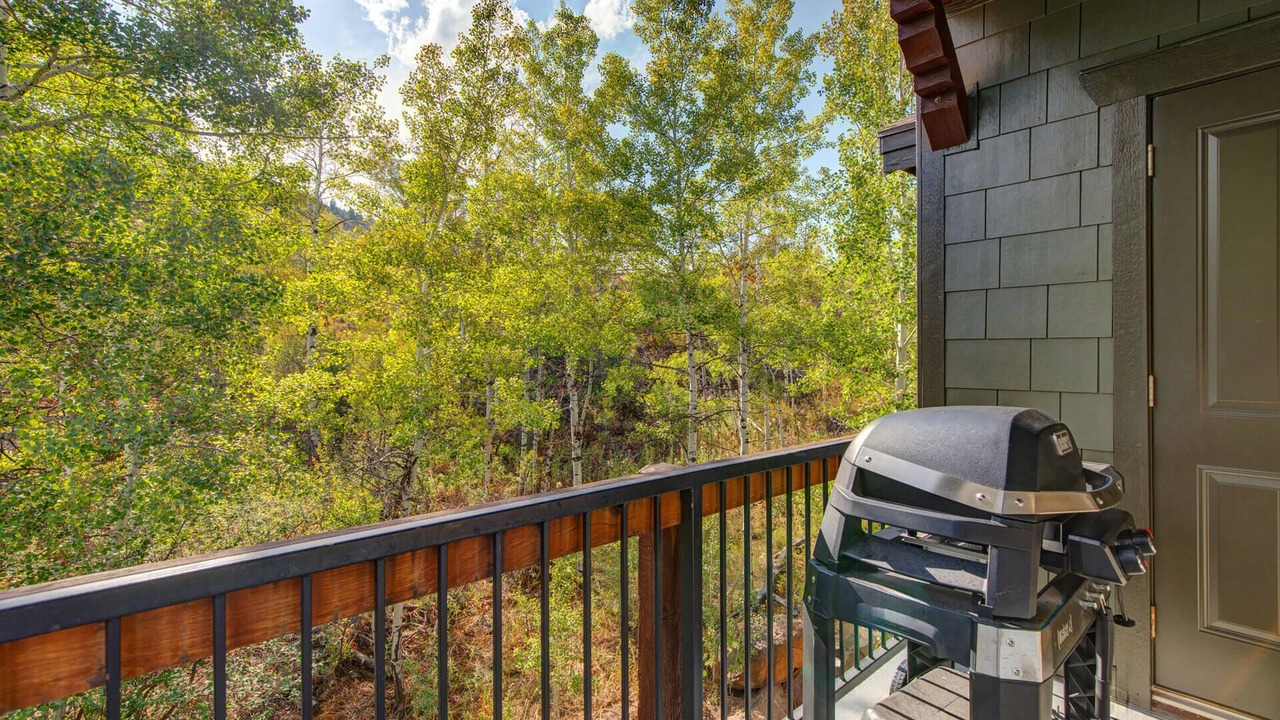Photo of Patio Balcony in Bear Hollow Village
