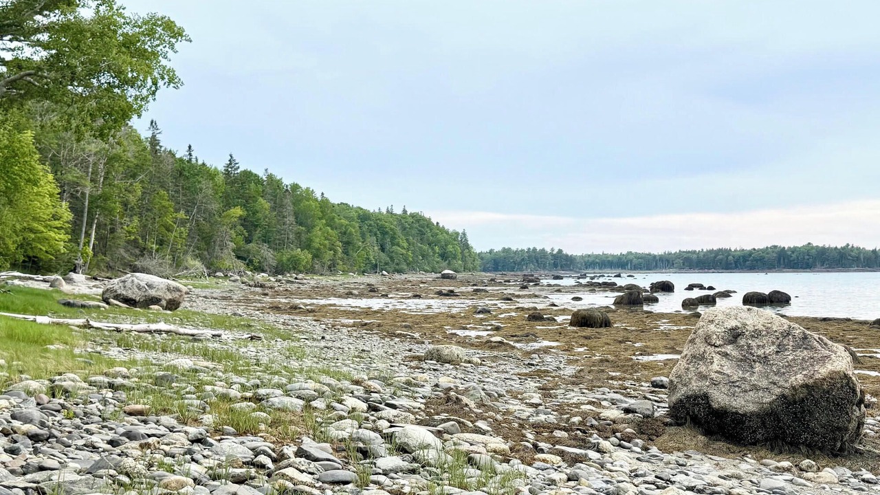 Photo of Others in Bar Harbor