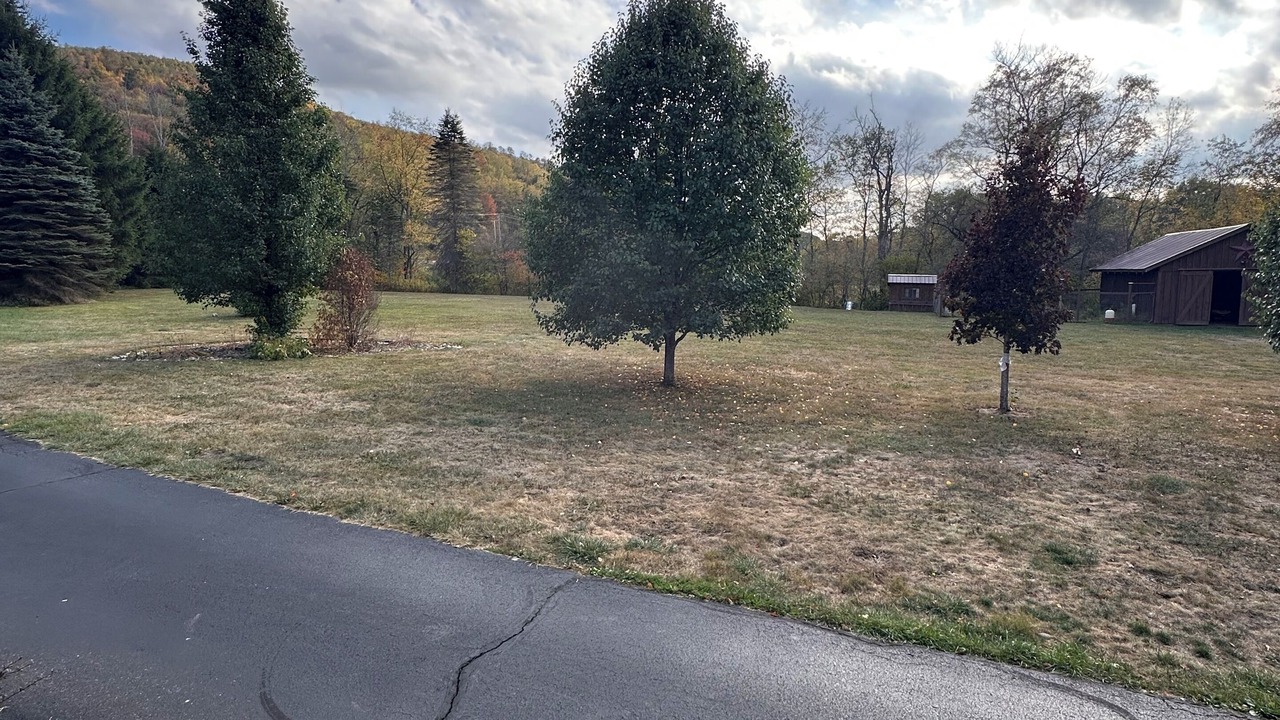 Photo of Outdoor in Wilcox