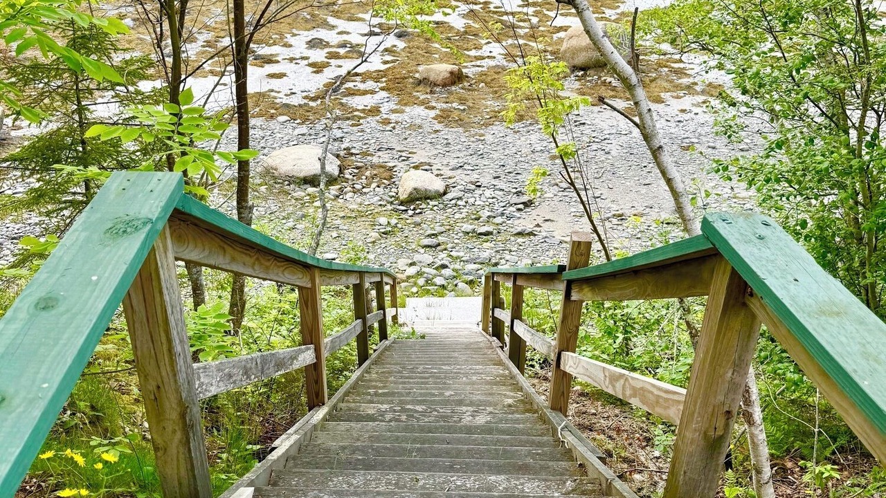 Photo of Others in Bar Harbor